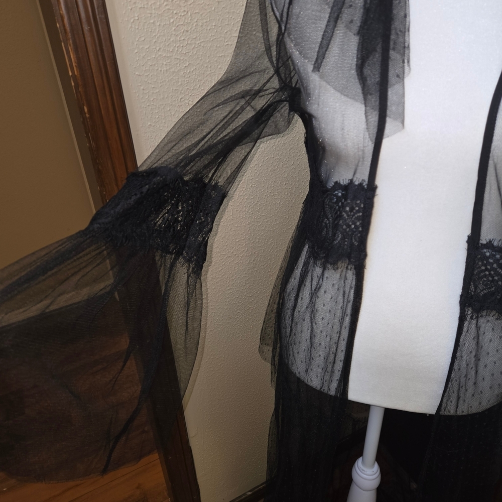 Source Unknown Black Sheer Robe Intimates Sleepwear - Picture 3 of 4